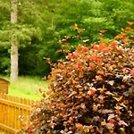Im Wald Mit Kamin * Bad Harzburg
