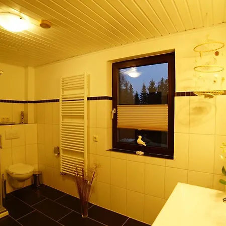 Im Wald Mit Kamin Apartmán Bad Harzburg