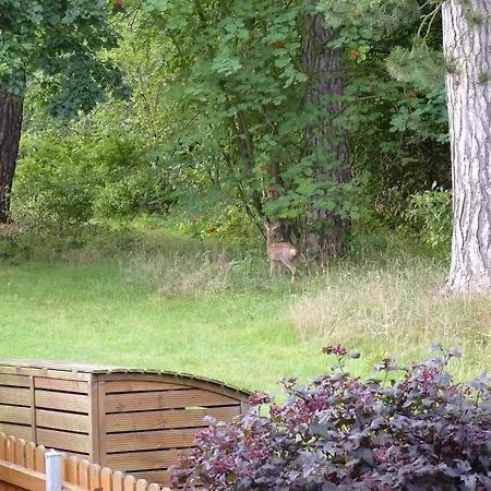 Im Wald Mit Kamin Apartment