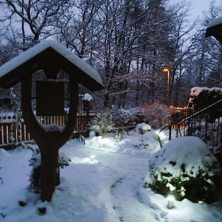 Im Wald Mit Kamin * Bad Harzburg