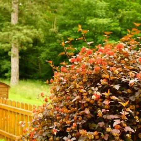 Im Wald Mit Kamin * Bad Harzburg