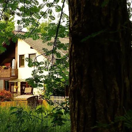 Im Wald Mit Kamin Apartment Bad Harzburg