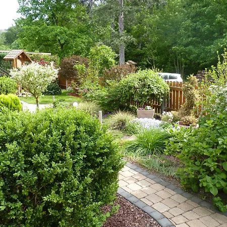 Apartmán Im Wald Mit Kamin Bad Harzburg