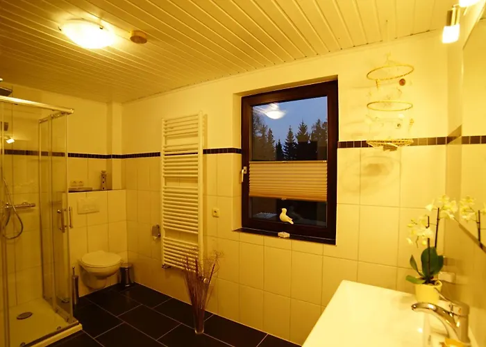 Im Wald Mit Kamin Lejlighed Bad Harzburg