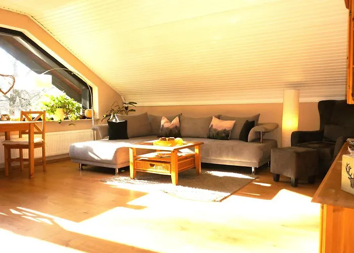 Im Wald Mit Kamin Bad Harzburg