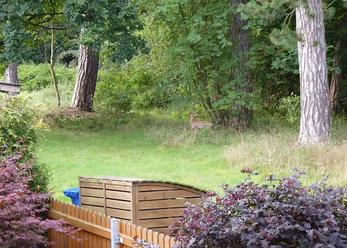 Im Wald Mit Kamin Bad Harzburg